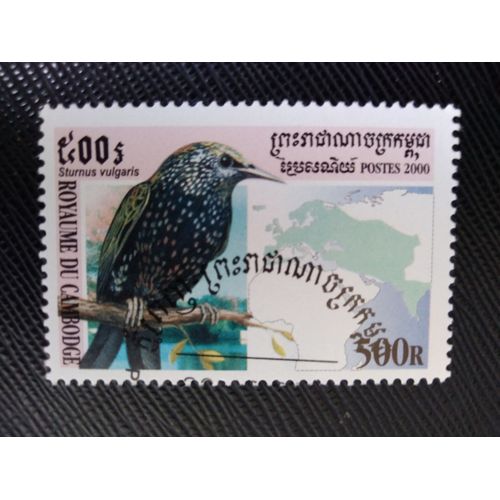 Timbre Cambodge Y T 1778 Étourneau Sansonnet (Sturnus Vulgaris) 2000 (140509 )