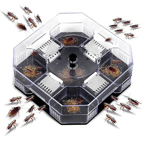 Boîte de piège à cafards utile piège à cafards Tueur Efficace Cuisines à la Maison Attrape-Insectes Maison pour Les Cuisines Restaurants