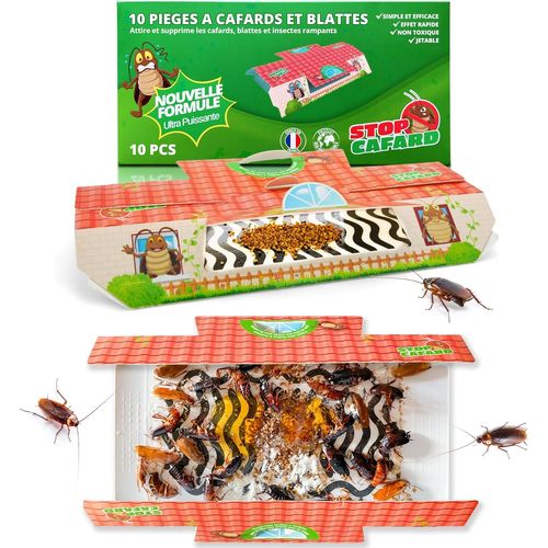 10 Pièges à Cafards et Blattes. Produit Anti Cafard Puissant Professionnel. Piege Cafard Non Toxique