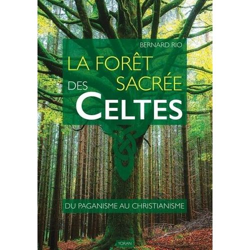 La Forêt Sacrée Des Celtes - Du Paganisme Au Christianisme