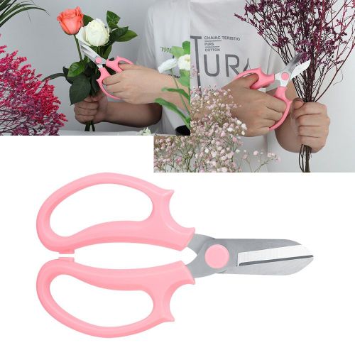 Secateur de jardin en acier inoxydable, ciseaux de taille pour plantes, outil de coupe, rose