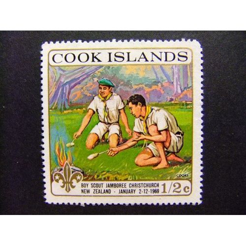 40 Îles Cook 1969 / Boy Scout Réchauffant La Nourriture / Yvert 197 Fu