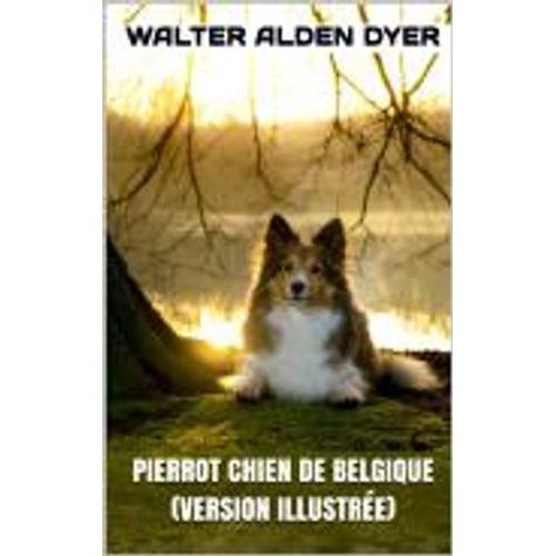 Pierrot Chien De Belgique (Version Illustrée)