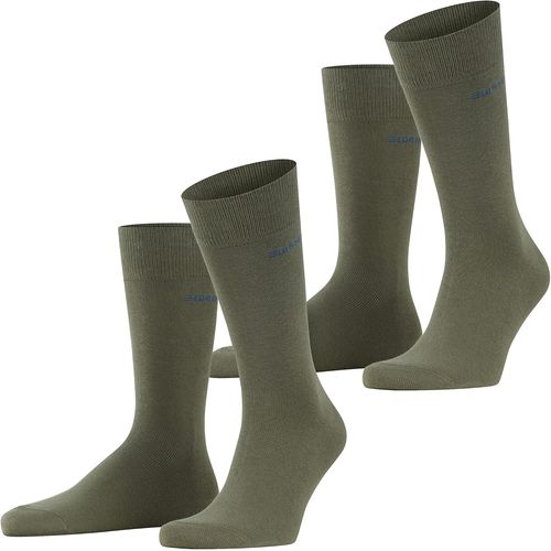 Shiba-Homme Basic Uni 2-Pack Chaussettes Respirantes Biologiques Durables Coton Renforcées Résistantes Douces Couture Plate Aux Or[819]