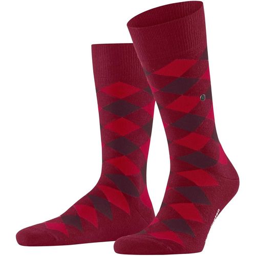 Shiba-Hommes Danny Chaussettes Opaque Coton (Biologique), Fibre Artificielle[3205]