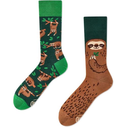 Shiba-Sloth Life Chaussettes Mélangées Homme[3220]