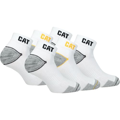 Shiba-Chaussettes Homme[889]