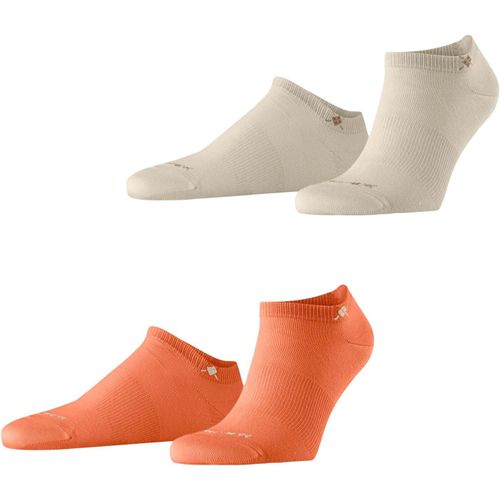 Shiba-Homme Everyday Sneaker 2-Pack Socquettes Respirantes Coton Chaussettes Basses Renforcées Résistantes Douces Sur La Peau Unie[1884]