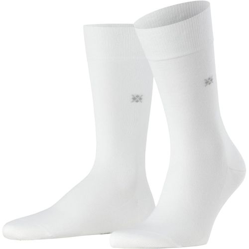 Shiba-Hommes Dublin Chaussettes Opaque Coton (Biologique), Fibre Artificielle[1899]