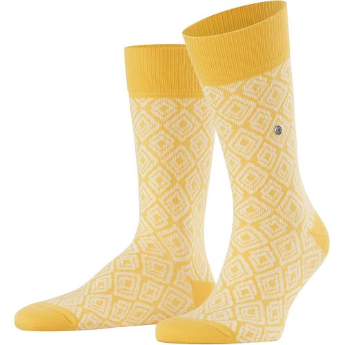 Shiba-Hommes Coastal Couture Chaussettes Opaque Coton, Fibre Artificielle[2587]