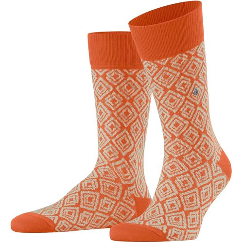 Shiba-Hommes Coastal Couture Chaussettes Opaque Coton, Fibre Artificielle[2590]