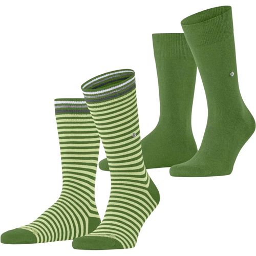 Shiba-Homme Everyday Stripe Mixed 2-Pack Chaussettes Respirantes Coton Renforcées Résistantes Mix Unies Fantaisie Pour Vie Quotidi[3317]