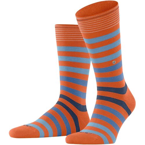 Shiba-Homme Blackpool Chaussettes Respirantes Durables Biologiques Coton Motif Fantaisie Rayé Couture Plate Aux Orteils Pour Vie Q[1225]