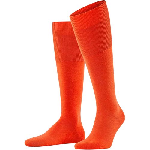 Shiba-Homme Airport Chaussettes Longues Respirantes Régulation Climatique Anti-Odeur Laine Coton Montantes Fines Unies Élégantes C[2614]