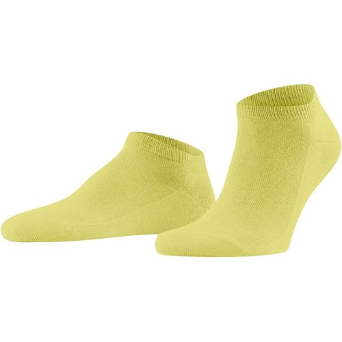 Shiba-Homme Family Socquettes Respirantes Durables Coton Chaussettes Basses Renforcées Extra-Douces Sur La Peau Unies Couture Plat[1222]