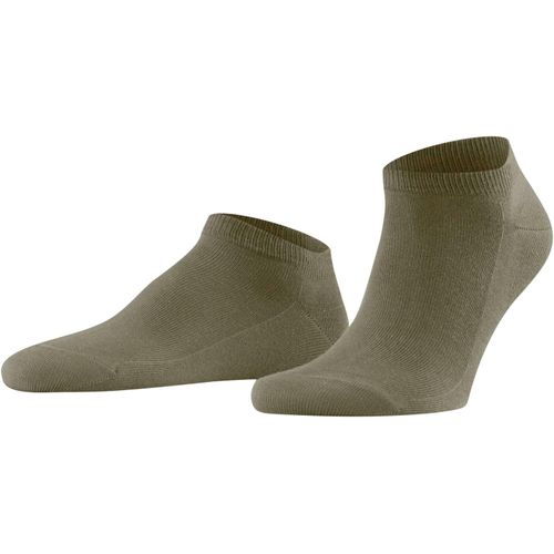 Shiba-Homme Family Socquettes Respirantes Durables Coton Chaussettes Basses Renforcées Extra-Douces Sur La Peau Unies Couture Plat[1221]