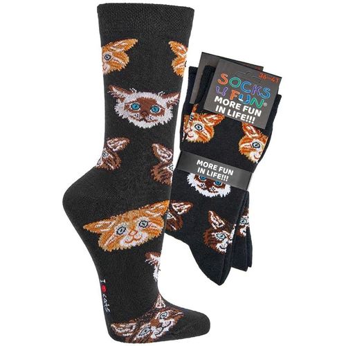 Shiba-Mesdames Garçons Filles Hommes Chaussettes (2 Paires) Drôle Coloré[1964]