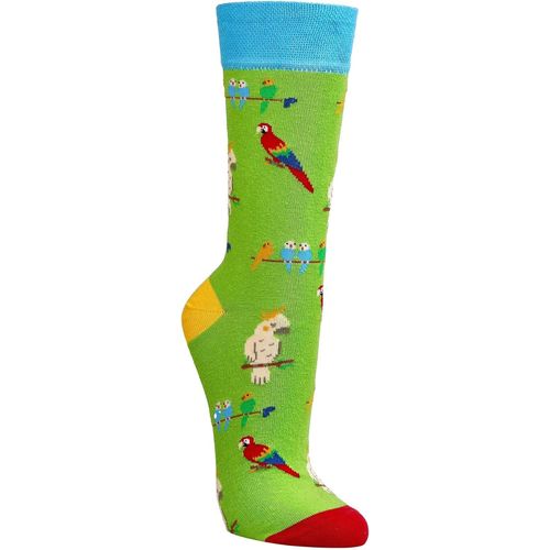 Shiba-Mesdames Garçons Filles Hommes Chaussettes (2 Paires) Drôle Coloré[1949]