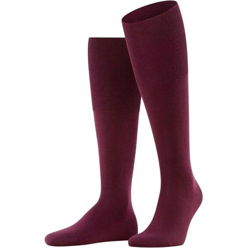 Shiba-Homme Airport Chaussettes Longues Respirantes Régulation Climatique Anti-Odeur Laine Coton Montantes Fines Unies Élégantes C[2624]