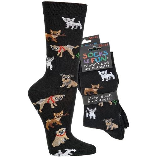 Shiba-Mesdames Garçons Filles Hommes Chaussettes (2 Paires) Drôle Coloré[1961]