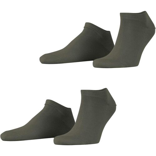 Shiba-Homme Basic Uni 2-Pack Socquettes Respirantes Biologiques Durables Coton Chaussettes Basses Renforcées Résistantes Douces Co[2304]