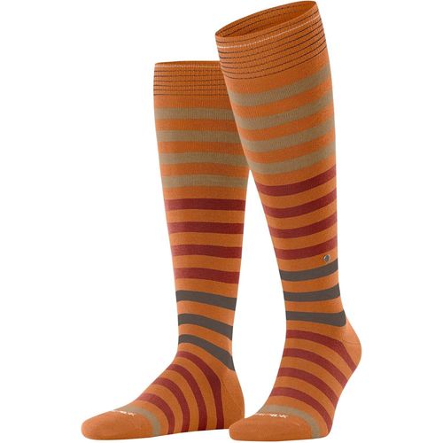 Shiba-Homme Blackpool Chaussettes Longues Respirantes Durables Biologiques Coton Motif Fantaisie Couture Plate Aux Orteils Pour Vi[3364]
