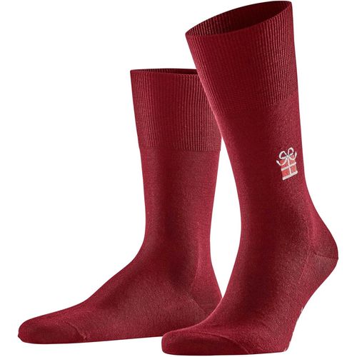 Shiba-Falke Chaussettes Homme[4385]