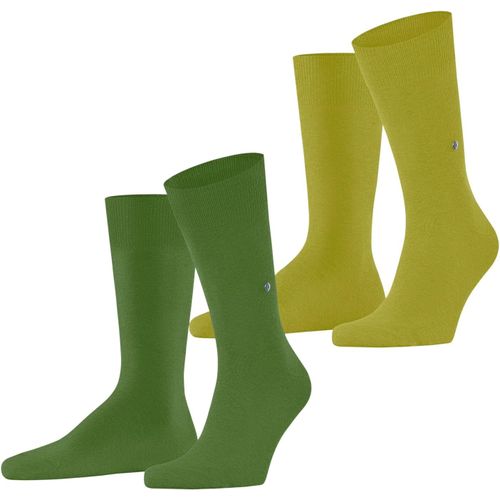 Shiba-Hommes Everyday 2-Pack Chaussettes Opaque Coton, Fibre Artificielle[714]