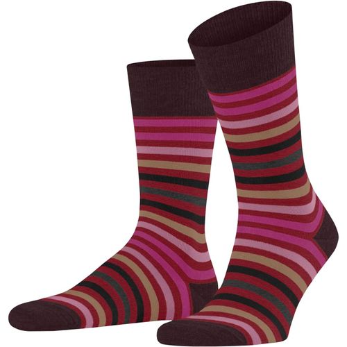 Shiba-Tinted Stripe Chaussettes Homme Laine Mérinos Bleu Gris Plus De Couleurs Renforcées Fines Élégantes Chaudes Respirantes Pour[2388]