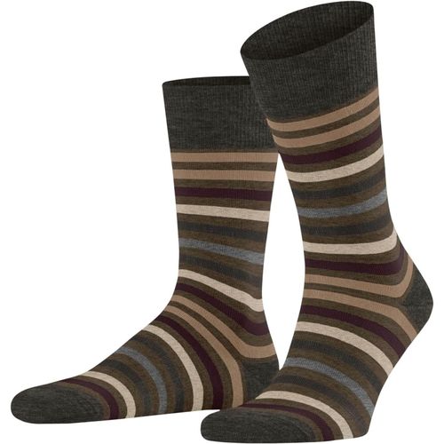 Shiba-Tinted Stripe Chaussettes Homme Laine Mérinos Bleu Gris Plus De Couleurs Renforcées Fines Élégantes Chaudes Respirantes Pour[2389]