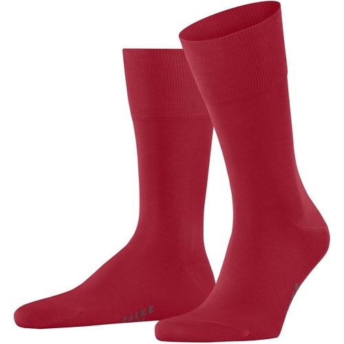 Shiba-Hommes Tiago Chaussettes Coupe Coton (Biologique), Fibre Artificielle[2408]