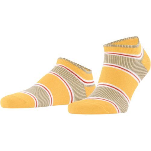Shiba-Hommes Rowing Club Chaussettes Sport Opaque Coton, Fibre Artificielle[3140]