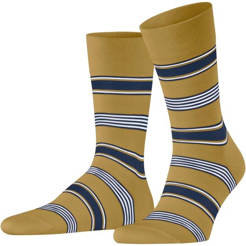 Shiba-Homme Marina Stripe Chaussettes Respirantes Durables Biologiques Coton Fil D'écosse Fines Renforcées Douces Couture Plate Au[3488]