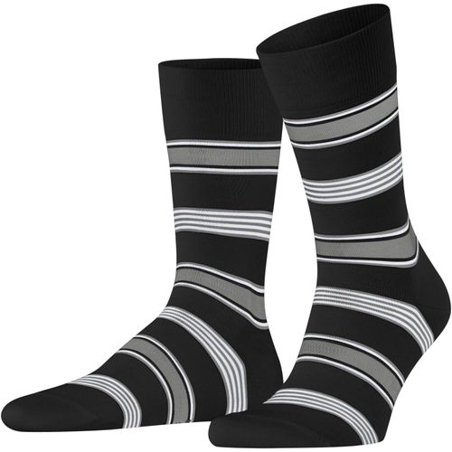 Shiba-Homme Marina Stripe Chaussettes Respirantes Durables Biologiques Coton Fil D'écosse Fines Renforcées Douces Couture Plate Au[3489]