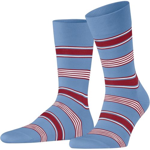 Shiba-Homme Marina Stripe Chaussettes Respirantes Durables Biologiques Coton Fil D'écosse Fines Renforcées Douces Couture Plate Au[3485]