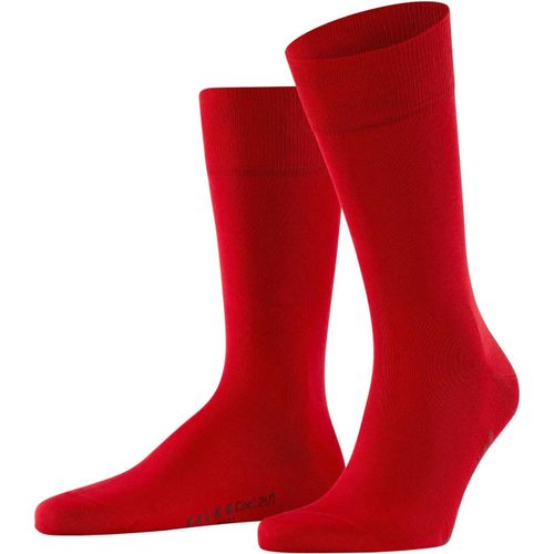 Shiba-Homme Cool 24/7 Chaussettes Respirantes Durables Biologiques Coton Fines Unies Élégantes Effet Raffraîchissant Régulation Cl[2112]