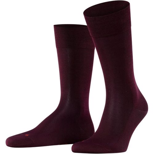Shiba-Chaussettes Homme[3178]