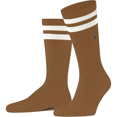 Shiba-Homme Court Chaussettes Respirantes Durables Biologiques Coton Renforcées Look Sportif Douces Côtelées Idéales Pour Tenues D[3868]
