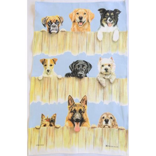 Shiba-Torchon Multicolore Taille Unique[5942]