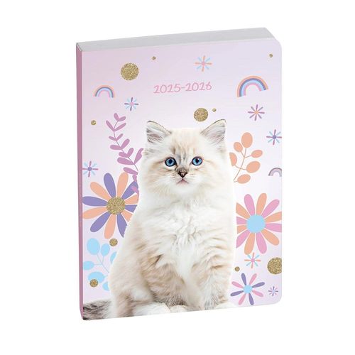 Agenda - 2025/2026 - Scolaire - Chat - 1page Par Jour - Septembre À Septembre - Forum Animaux