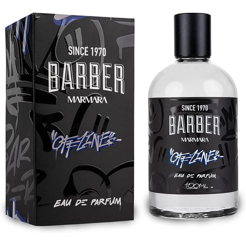 Kgabery-Offline Eau De Parfum Natural Spray Men 100 Ml¿Parfum Pour Homme¿Parfum Pour Homme¿Parfum Intense Longue Durée¿Parfum Oriental Et Épicé 