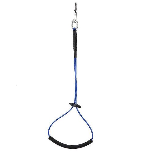 Chien Chat Toilettage Simple Noose Noose Hoop Pour Pet Table Bras Baignoire