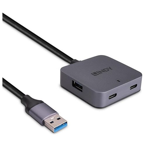 Lindy - Concentrateur (hub) - 10m - 2 x USB-C + 2 x USB 3.2 - de bureau