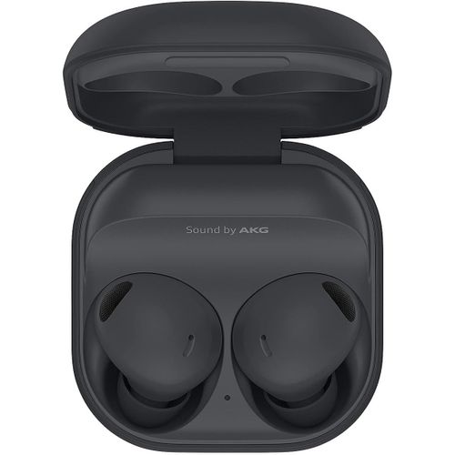 CLOUDDS_Galaxy Buds 2 Pro-Wireless Earphones Graphite