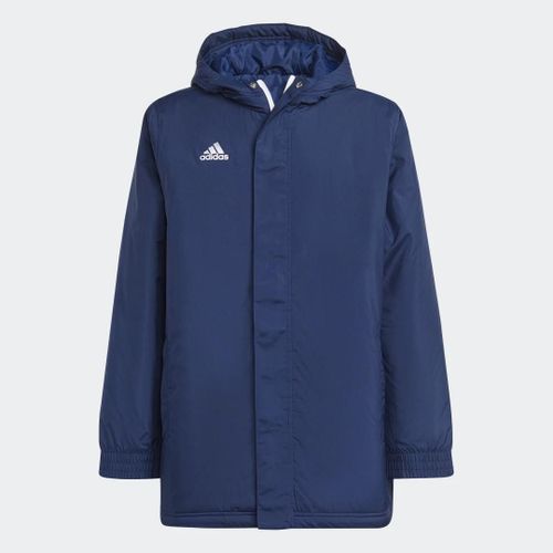 Veste Entrada 22 Stadium Adidas Performance Bwi88 - 5-6a