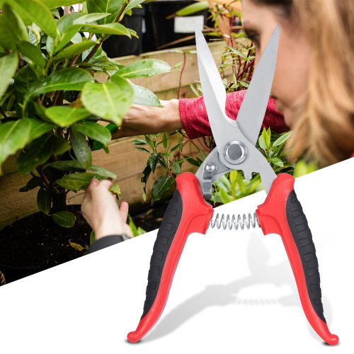 Secateur de 8 pouces, outil manuel pour le jardinage a domicile, les plantes et les branches