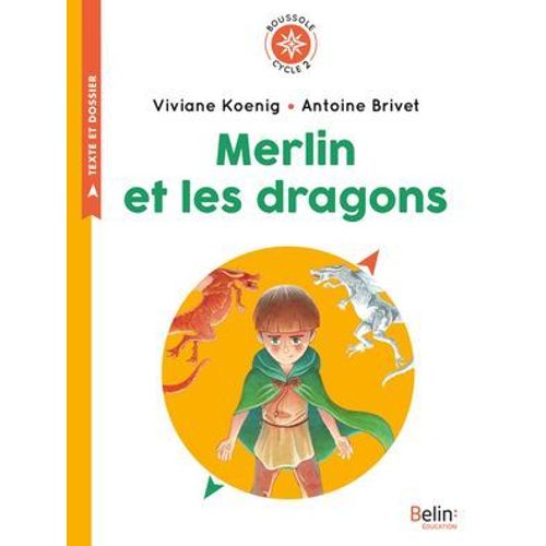 Merlin Et Les Dragons