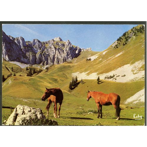 Carte Postale N° 127 S, Images De Chez Nous, Chevaux En Pâturages, 1981