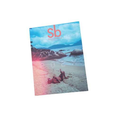 Sb Skateboard Journal #35