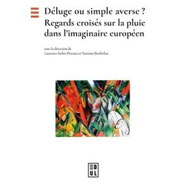 Déluge Ou Simple Averse ? - Regards Croisés Sur La Pluie Dans L'imaginaire Européen